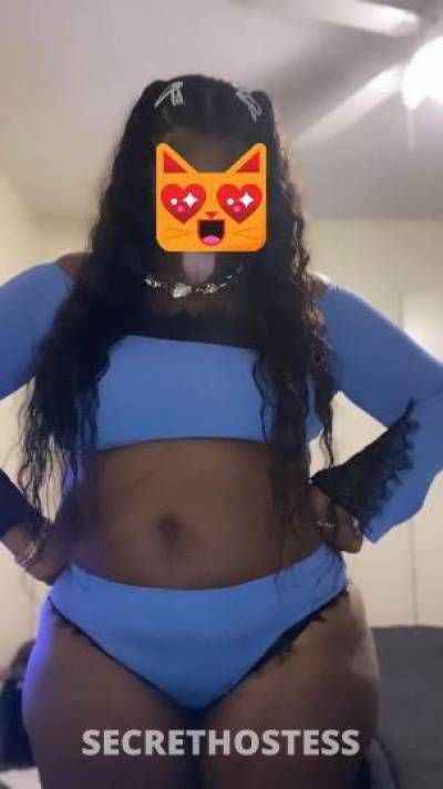 Ebony 30Yrs Old Escort Tallahassee FL Image - 3