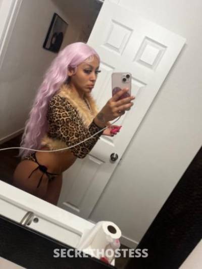 Kim 19Yrs Old Escort San Diego CA Image - 3