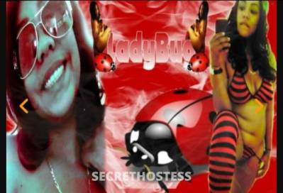 Ladybug 29Yrs Old Escort Monterey CA Image - 11