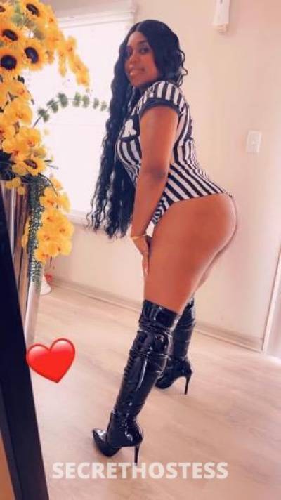 Lamora 25Yrs Old Escort Tampa FL Image - 3