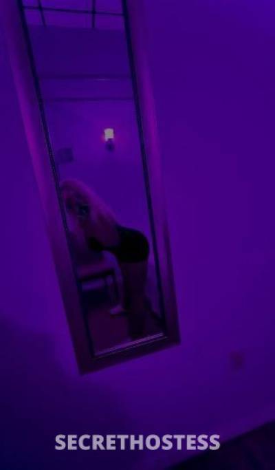 Leah 21Yrs Old Escort Tampa FL Image - 2