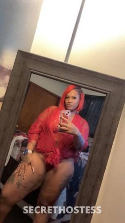 Miss.Snatcher 33Yrs Old Escort Jacksonville FL Image - 6