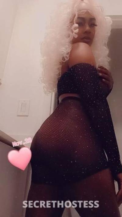 November 31Yrs Old Escort New Orleans LA Image - 2