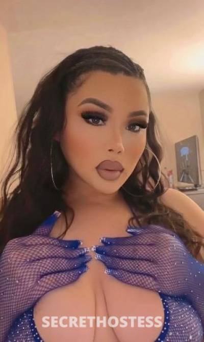 Winter 21Yrs Old Escort San Gabriel Valley CA Image - 5