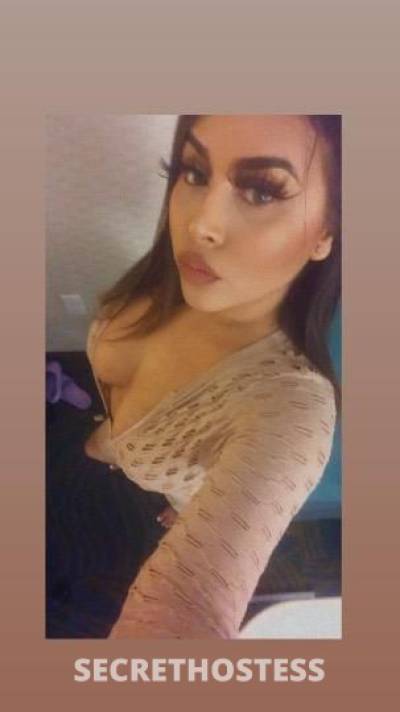 25Yrs Old Escort Los Angeles CA Image - 2