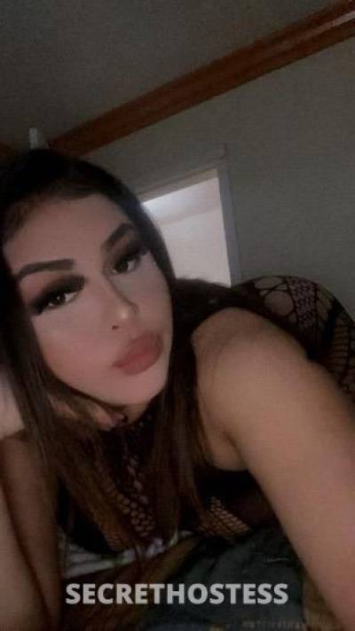 25Yrs Old Escort Los Angeles CA Image - 3