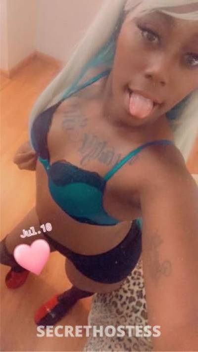 ASHLEYCAKES 23Yrs Old Escort Phoenix AZ Image - 1