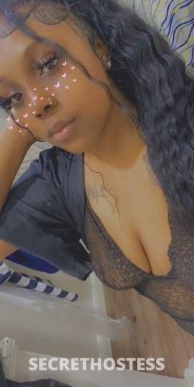 Bambi 24Yrs Old Escort Houston TX Image - 4