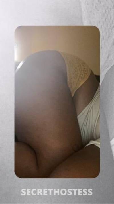 Camn 25Yrs Old Escort Saint Louis MO Image - 3