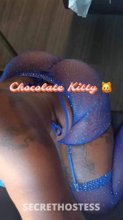 ChocolateKitty 25Yrs Old Escort Clarksville TN Image - 3