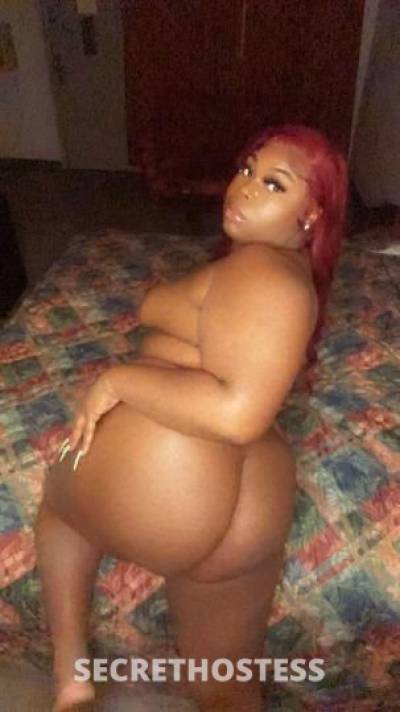 Chocolatebaby 25Yrs Old Escort Saint Louis MO Image - 3