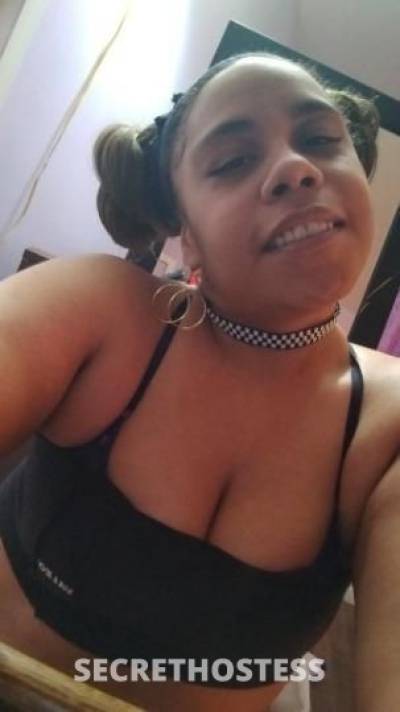 Coco 22Yrs Old Escort Scranton PA Image - 1