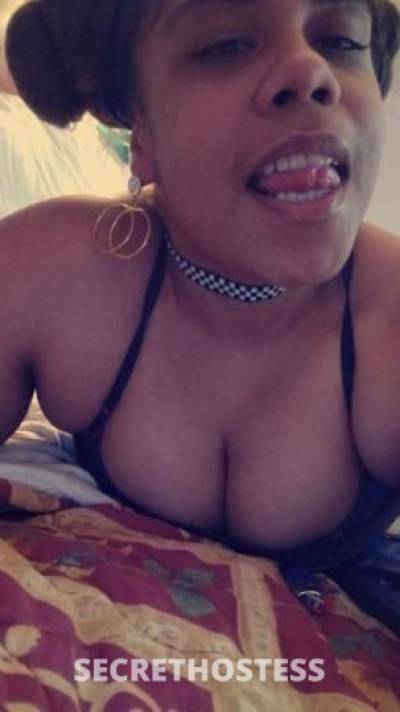 Coco 22Yrs Old Escort Scranton PA Image - 4