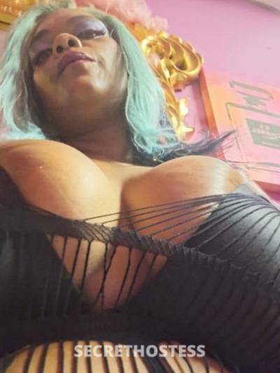 DIVINE 38Yrs Old Escort Houston TX Image - 1