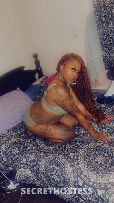 Daisyknight 24Yrs Old Escort Buffalo NY Image - 1