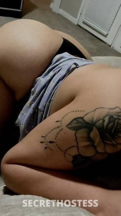 Gina 22Yrs Old Escort Dallas TX Image - 1