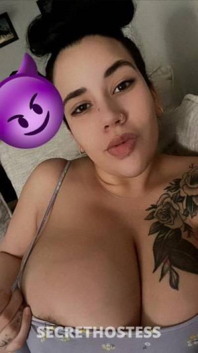 Gina 22Yrs Old Escort Dallas TX Image - 9