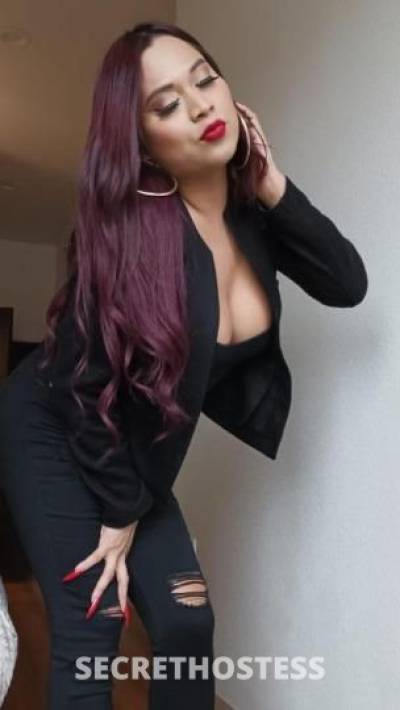 🍑🍆💋 🥵Grecia transexual de visita Corpus Christi  in Corpus Christi TX