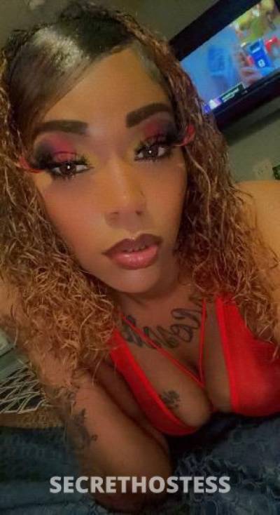 Jayda 22Yrs Old Escort Concord CA Image - 4