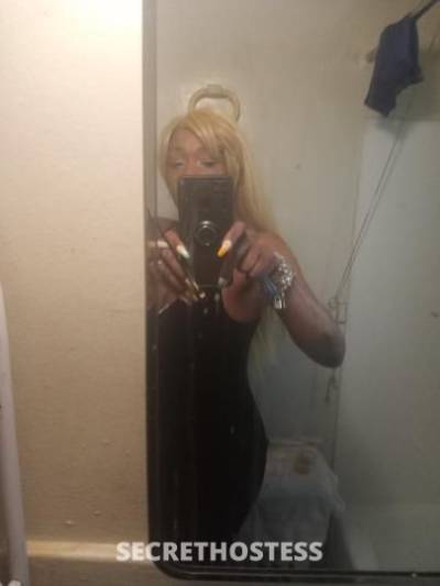 Lala 33Yrs Old Escort 172CM Tall Queens NY Image - 5