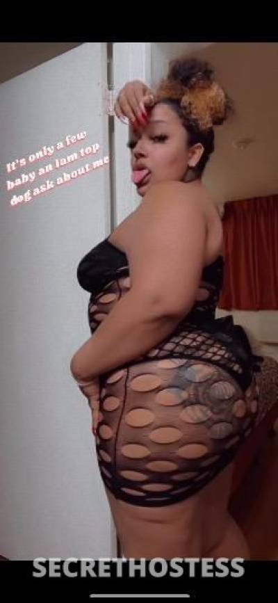 Nikkibaby 24Yrs Old Escort Bakersfield CA Image - 9