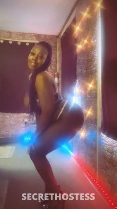 NynaGazelle 28Yrs Old Escort Saint Louis MO Image - 7