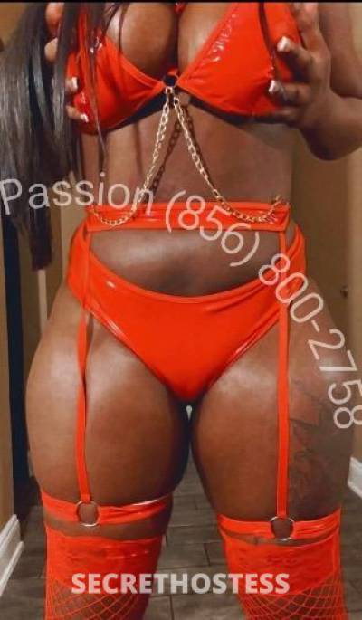 Passion 24Yrs Old Escort Queens NY Image - 1