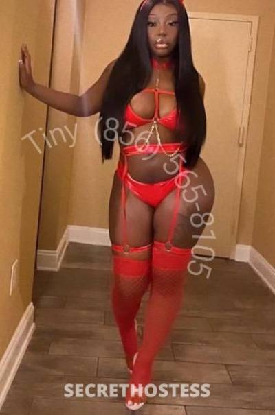 Passion 24Yrs Old Escort Queens NY Image - 3