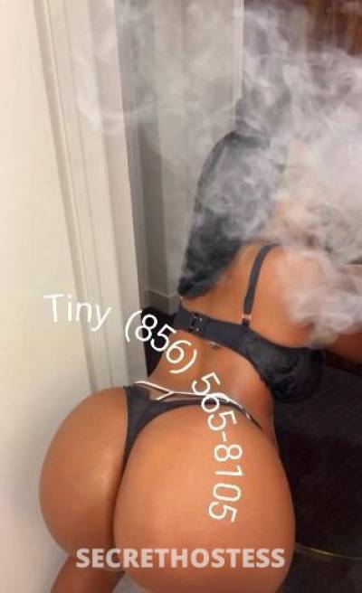 Passion 24Yrs Old Escort Queens NY Image - 8