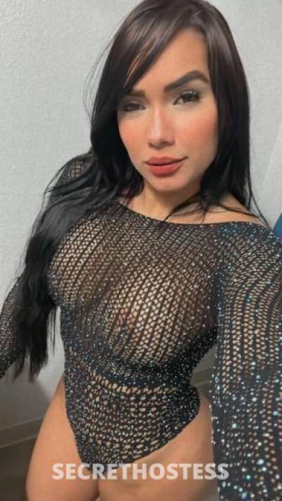 26 year old Latino Escort in Hilton Head SC ??️?️la latina mas buenota
