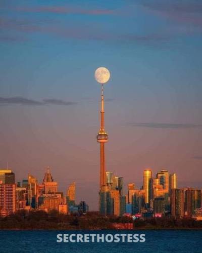 Rhino🦏 44Yrs Old Escort Toronto Image - 3