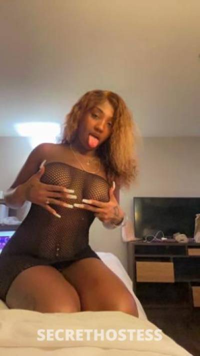 Rozay 23Yrs Old Escort Albuquerque NM Image - 3