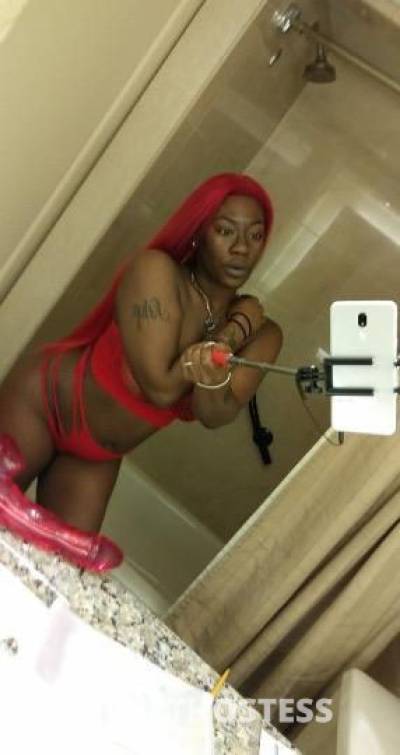 Sammie 26Yrs Old Escort Albany NY Image - 5