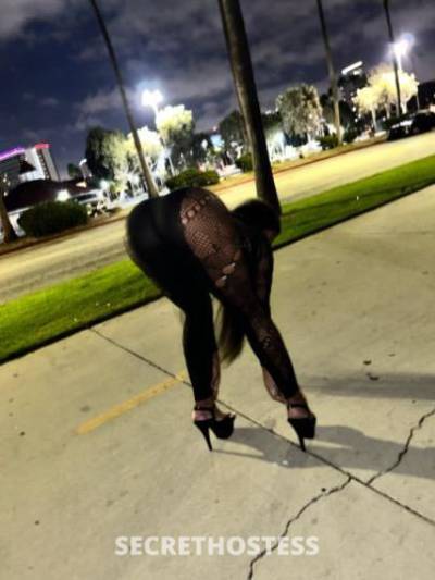 Sapphire 21Yrs Old Escort 170CM Tall Oakland CA Image - 5