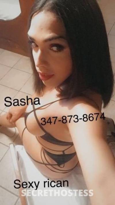 Sasha 28Yrs Old Escort Queens NY Image - 6