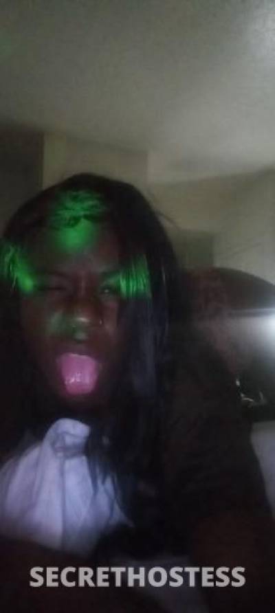 freakymachine 22Yrs Old Escort Chattanooga TN Image - 1