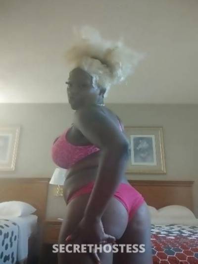 29Yrs Old Escort Gainesville FL Image - 0