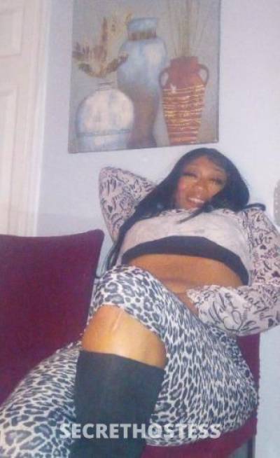 29Yrs Old Escort Staten Island NY Image - 1