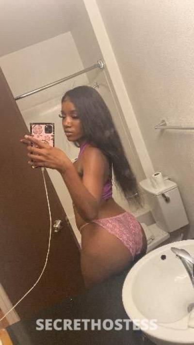 Alexis 22Yrs Old Escort Bloomington IL Image - 7