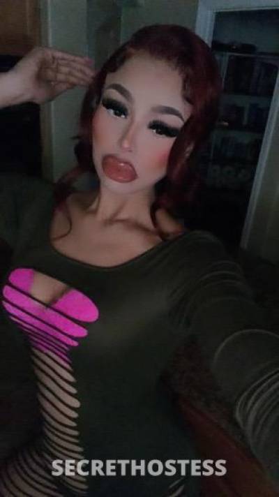 20 year old American Escort in Modesto CA Sexy barbie