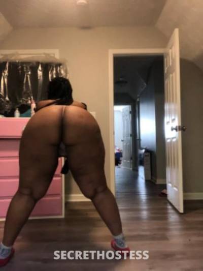 Bri 22Yrs Old Escort Detroit MI Image - 4