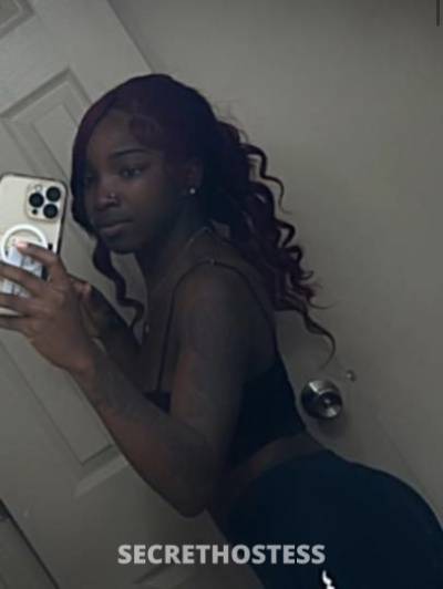 Coco 24Yrs Old Escort Jacksonville FL Image - 2