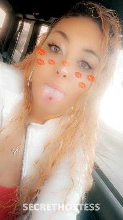 Diamond 23Yrs Old Escort Rockford IL Image - 6