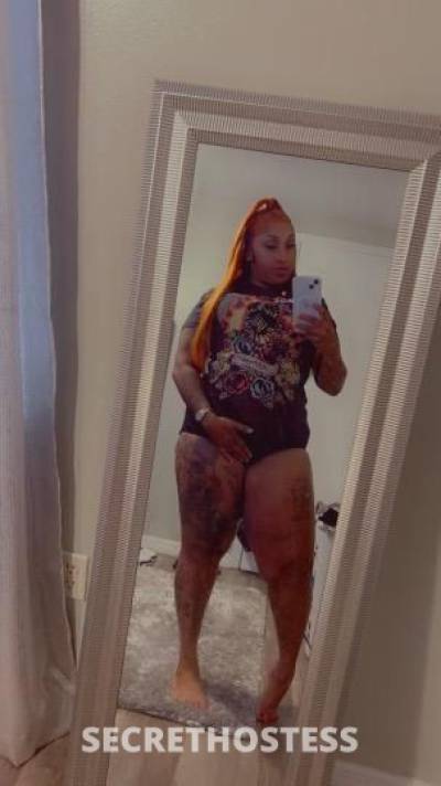 HUNEE 25Yrs Old Escort West Palm Beach FL Image - 10