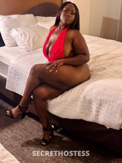 KoKo 25Yrs Old Escort Concord CA Image - 0