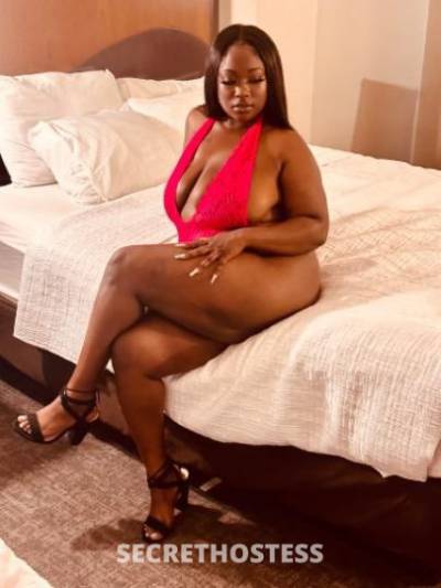 KoKo 25Yrs Old Escort Concord CA Image - 3