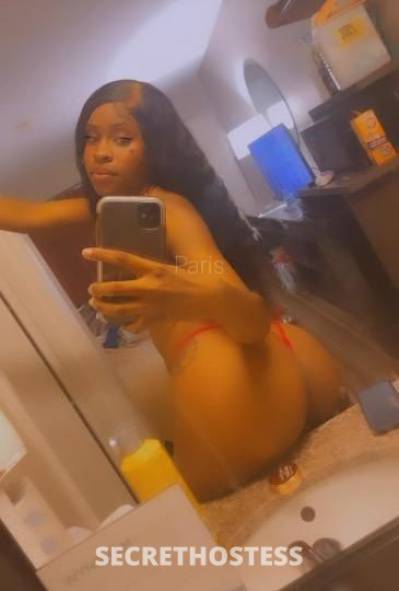 Lexi 22Yrs Old Escort Treasure Coast FL Image - 0