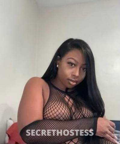 Maya 25Yrs Old Escort Concord CA Image - 0