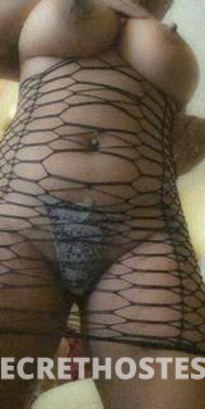 Melianna 23Yrs Old Escort Ft Wayne IN Image - 2