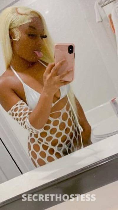 Millie 20Yrs Old Escort Los Angeles CA Image - 0